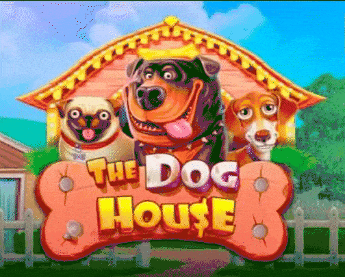 Play The Dog House in Spin Castle Casino
